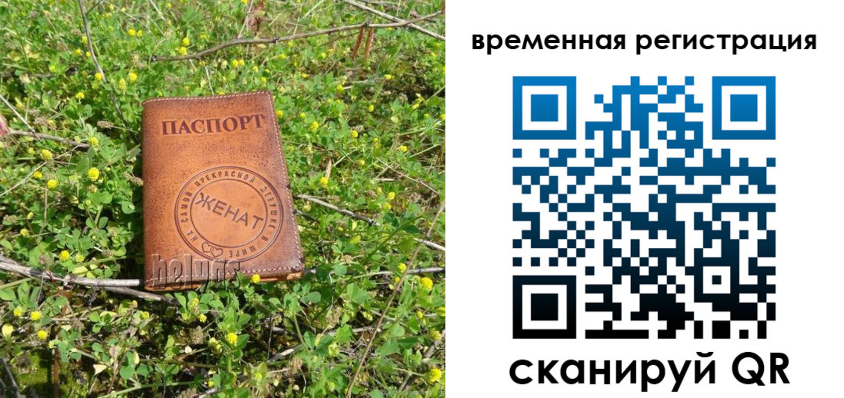 прописка регистрация в Амурске